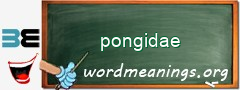 WordMeaning blackboard for pongidae